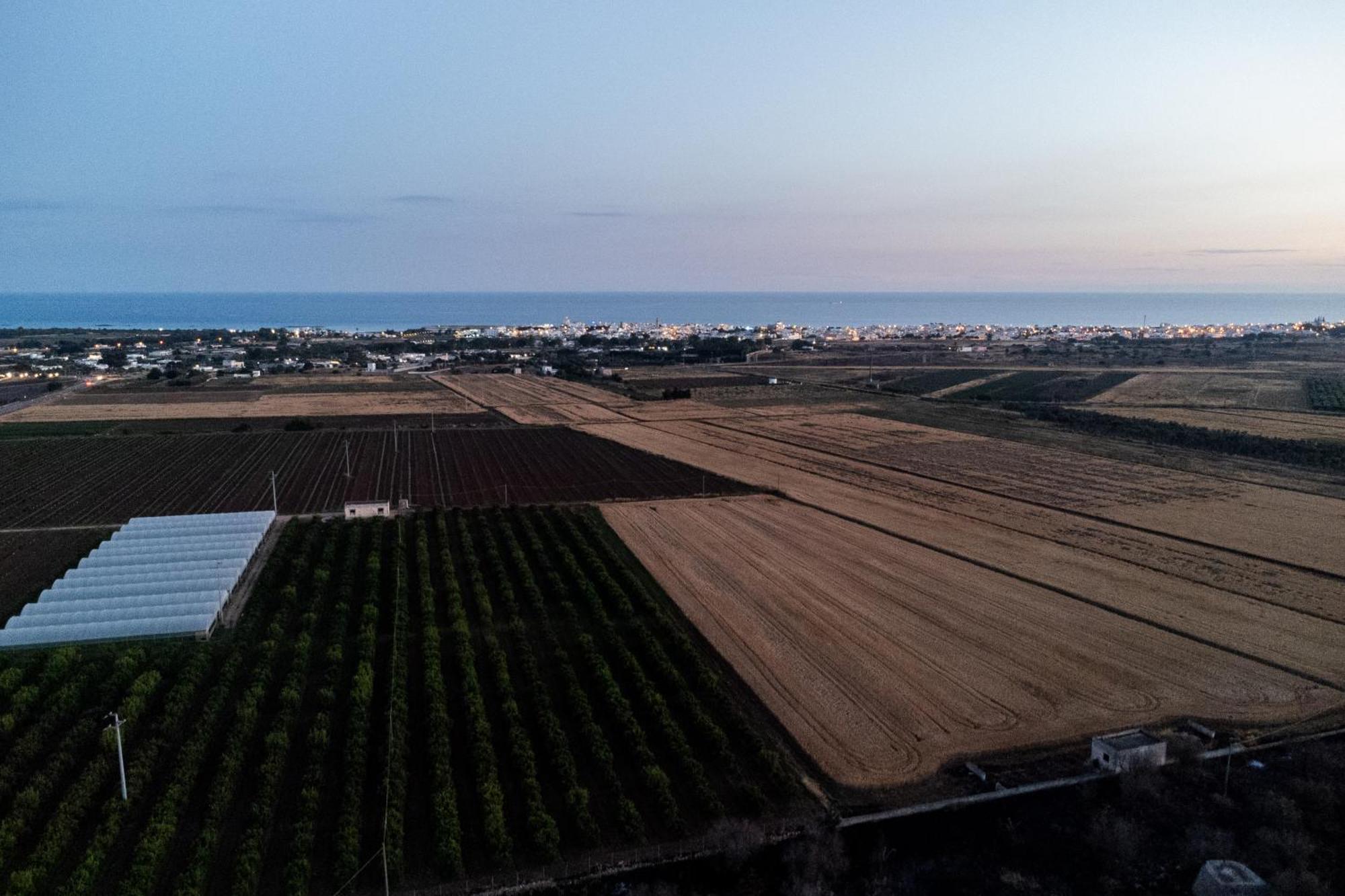 Dimora Soleda Lejlighed Torre San Giovanni Ugento Eksteriør billede